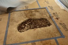 thumbnail_IMG_4742