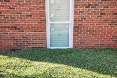 rdbr-rosser-window19