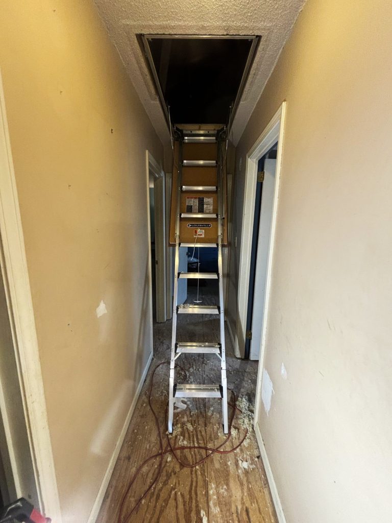 Rdbr Kappen Attic attic renovation contractors picture