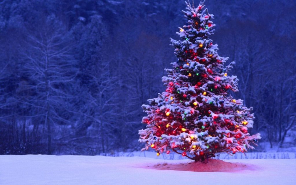 Cc By Nc Nd 4 0 Image Jpeg Resolution 1920x1080 File Size 563kb Christmas Tree Snow Drawing