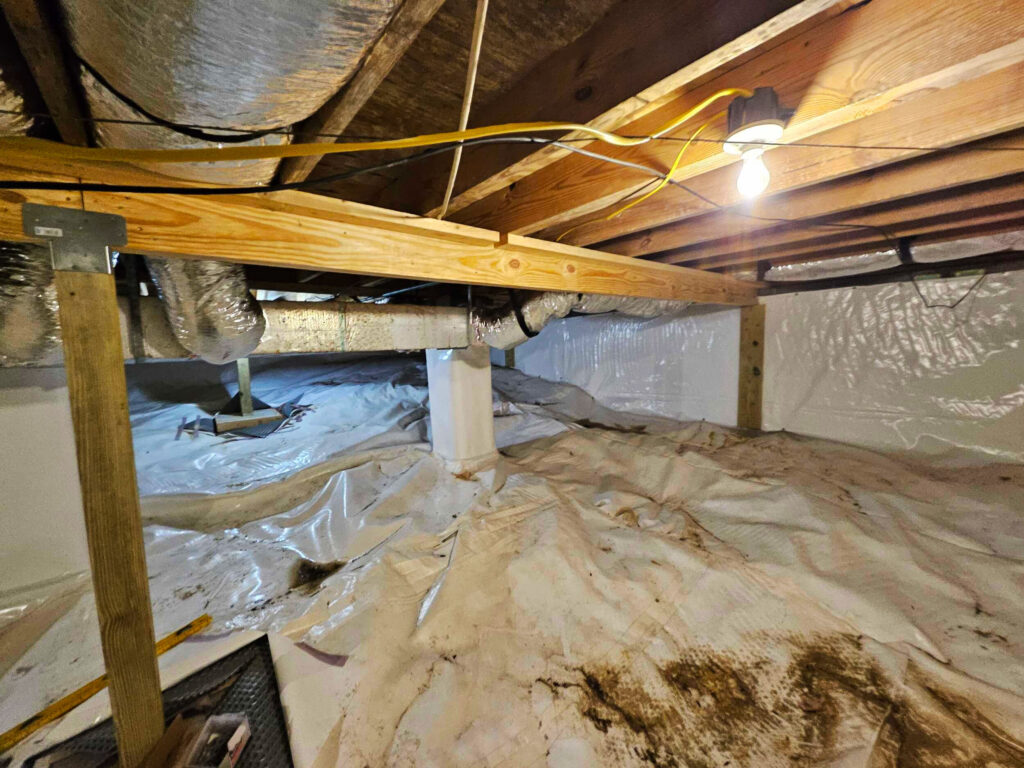 foundation and crawl space repair picture