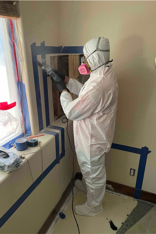 68e4e6aa16e6e02ae635198c The Graphic Space Klzs4yor0uu Unsplash 1 mold vs mildew picture